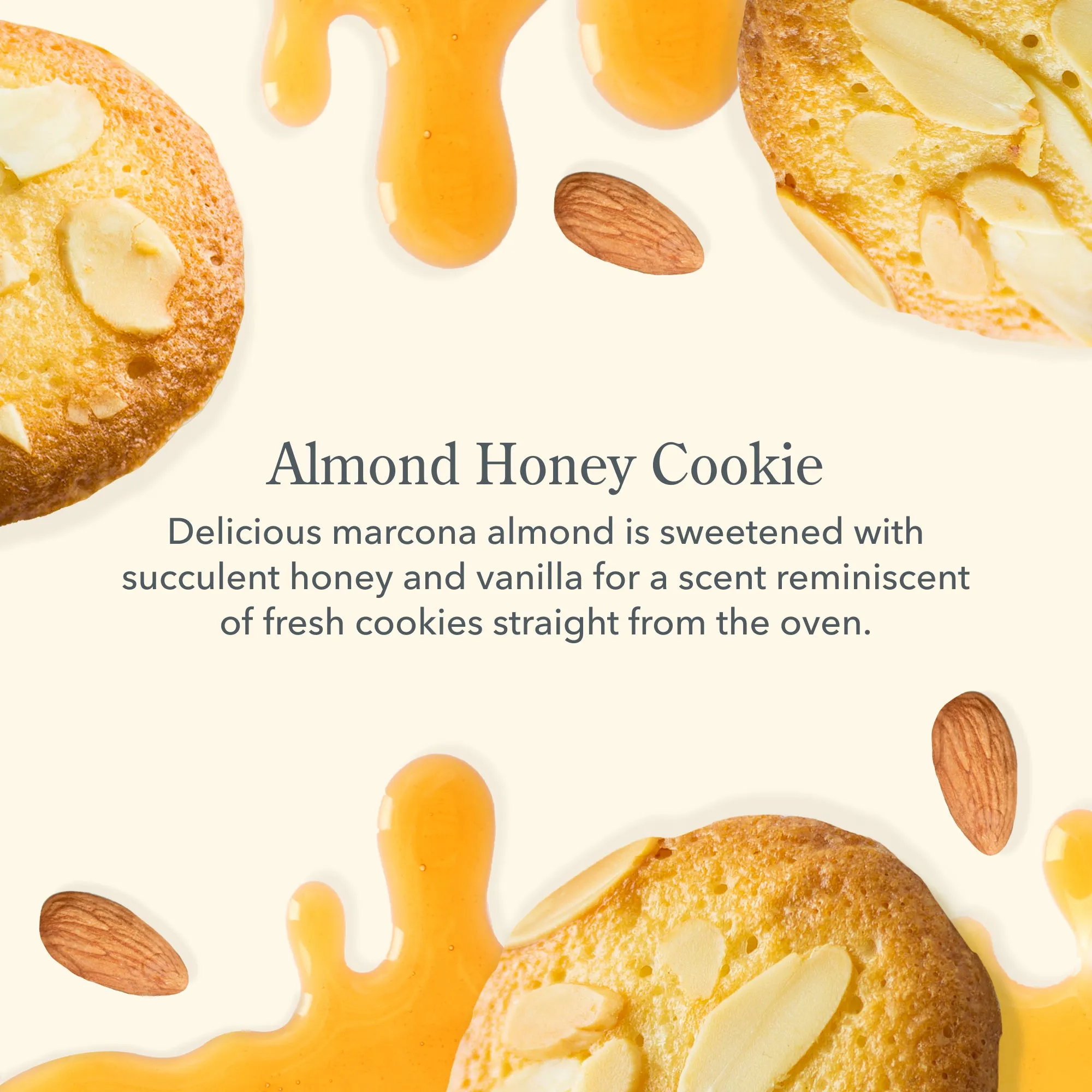 Almond Honey Cookie Whipped Body Cream Set of 2