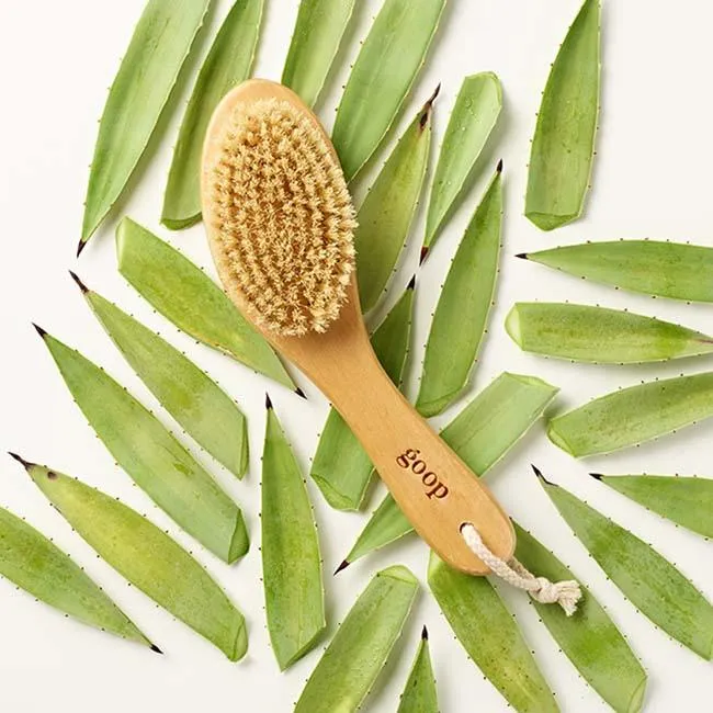 G.Tox Ultimate Dry Brush