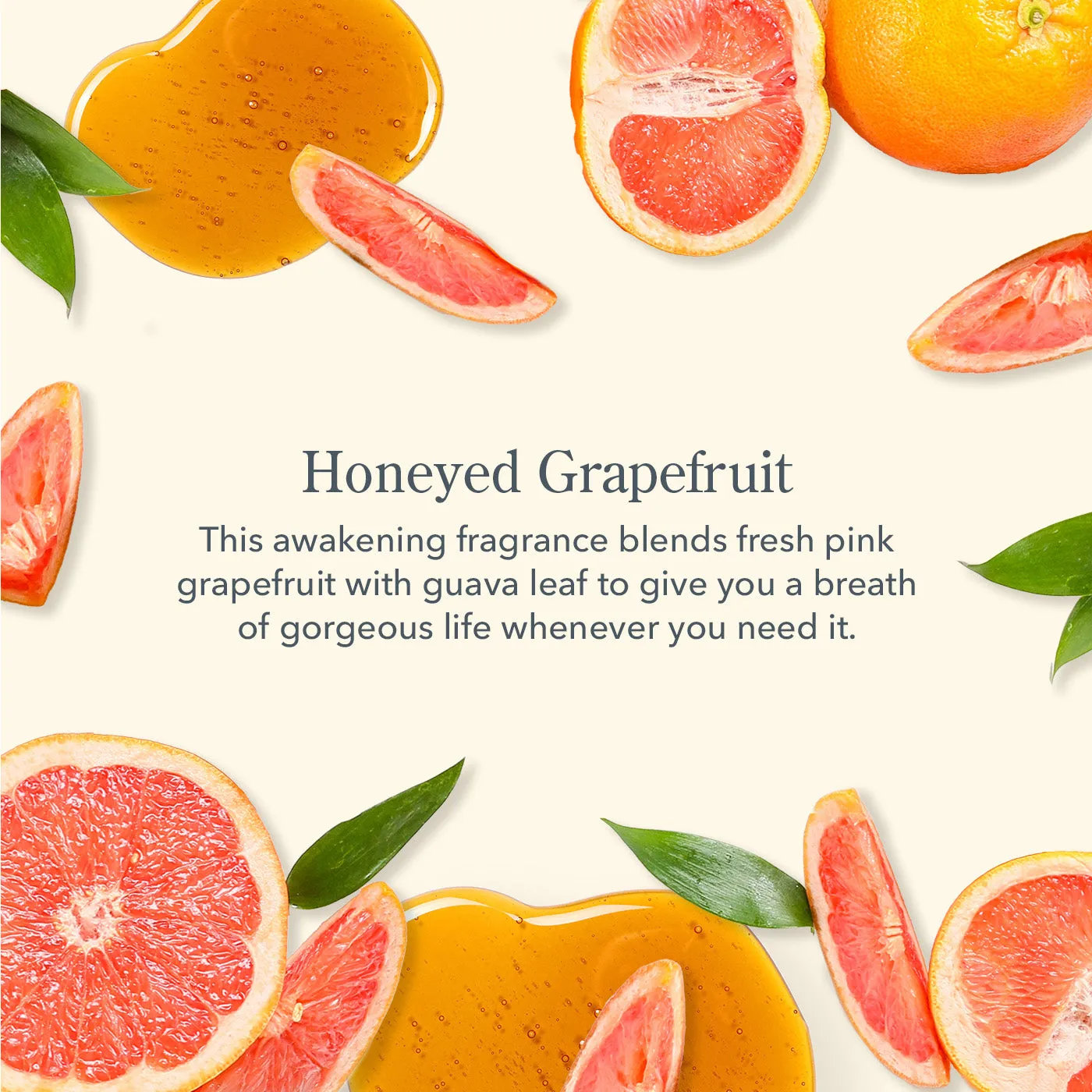 Honeyed Grapefruit Mini Whipped Body Cream Set of 2